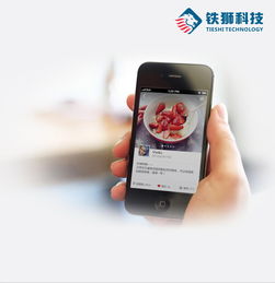 成都APP外包公司如何實(shí)現(xiàn)從開發(fā)到運(yùn)營(yíng)的全流程管理