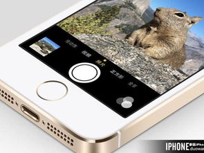 成都旅游類APP開(kāi)發(fā) 深度解析核心用戶需求與功能導(dǎo)向